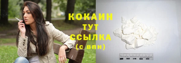 молекула духа Киреевск