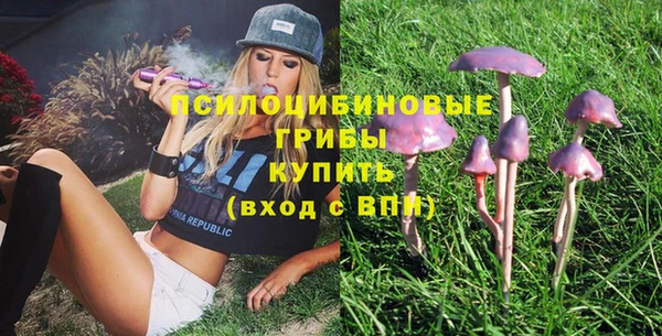 молекула духа Киреевск