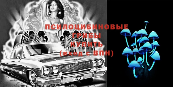 молекула духа Киреевск