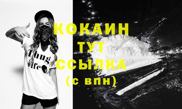 молекула духа Киреевск
