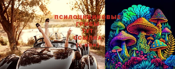 молекула духа Киреевск