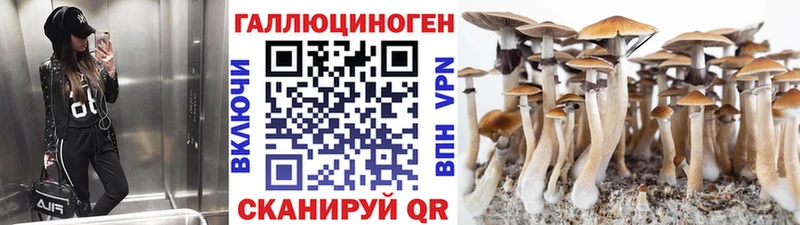 Галлюциногенные грибы MAGIC MUSHROOMS  Купить закладки  Бузулук 